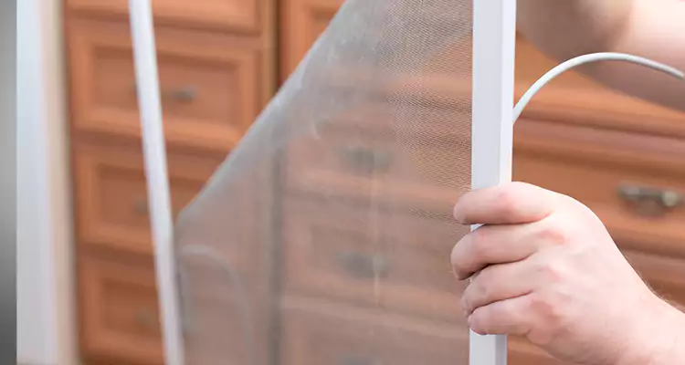 Privacy Mesh Screen Door Installation in Altamonte Springs, FL